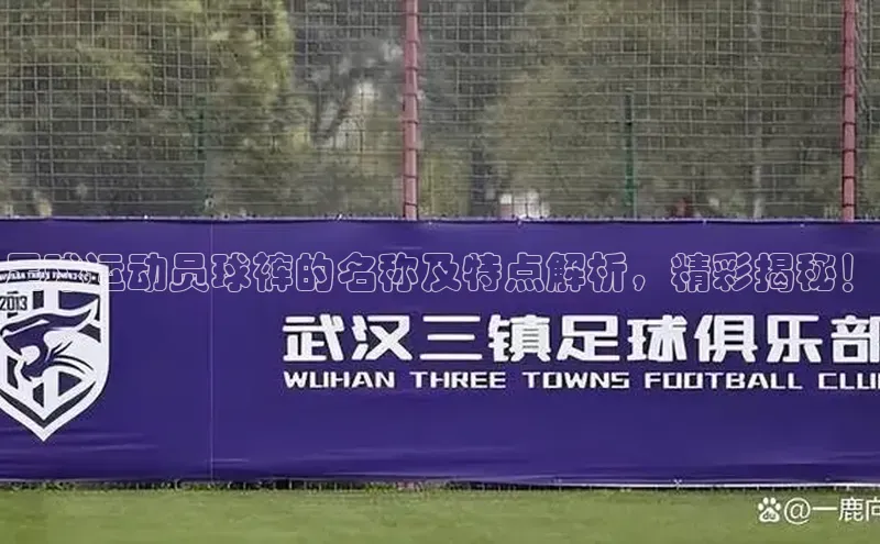 yy易游体育官网天键股份足球运动员球裤的名称及特点解析，精彩揭秘！