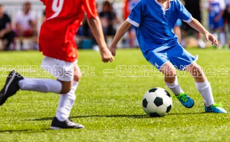 深圳运动的华章：一场激情与挑战的盛会