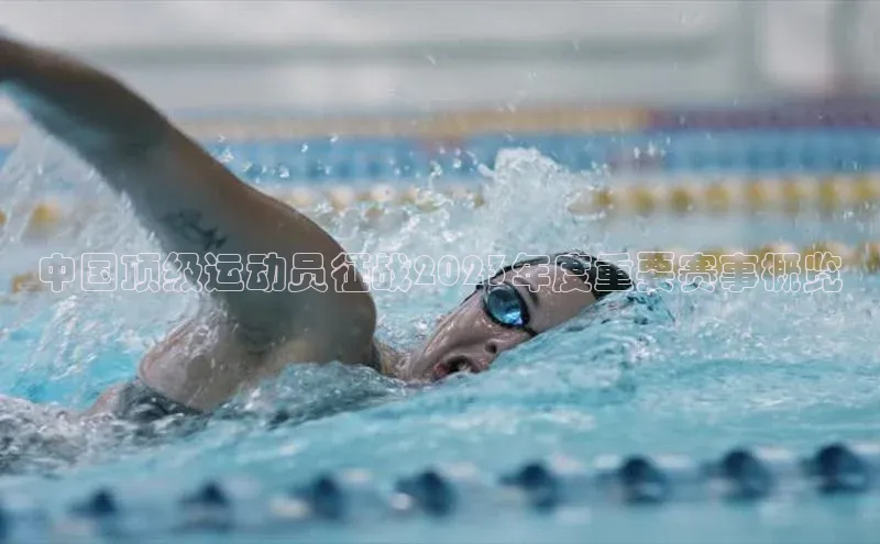 中国顶级运动员征战2023年度重要赛事概览