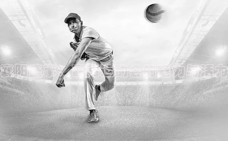 襄阳盛事：襄阳运动会的魅力与活力