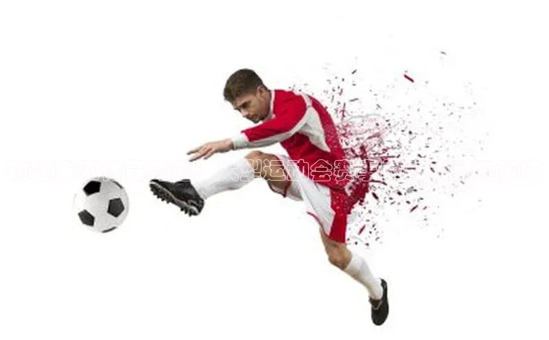 构建未来体育奇迹：大型运动会赛事的成功举办策略