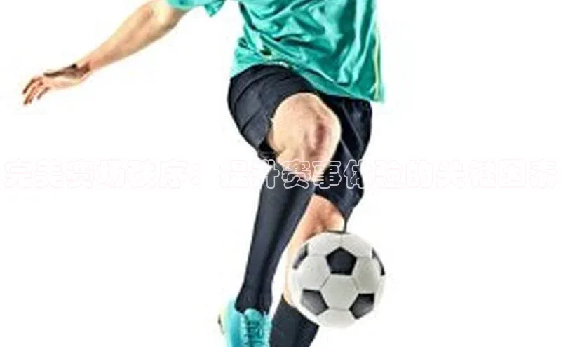 完美赛场秩序：提升赛事体验的关键因素