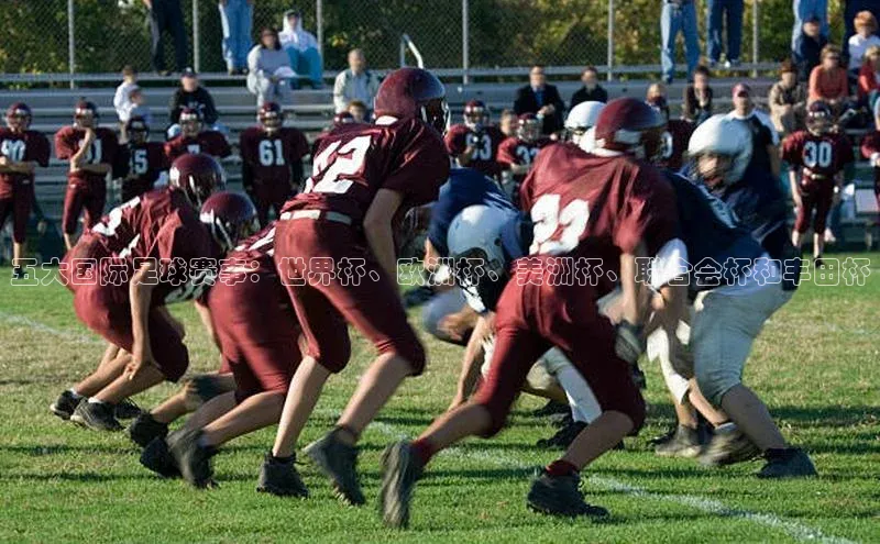 五大国际足球赛事：世界杯、欧洲杯、美洲杯、联合会杯和丰田杯