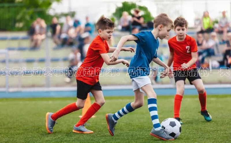 米乐易游官网登陆入口