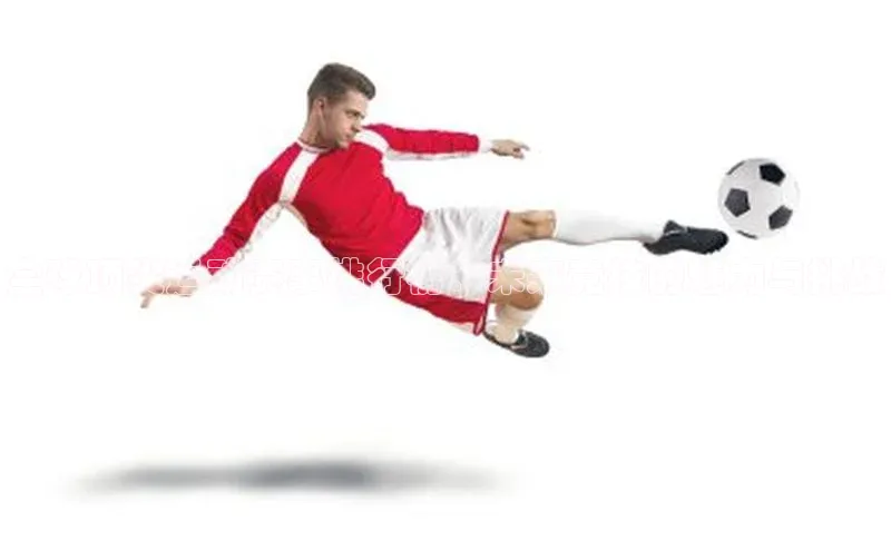 米乐m6官网app下载安卓