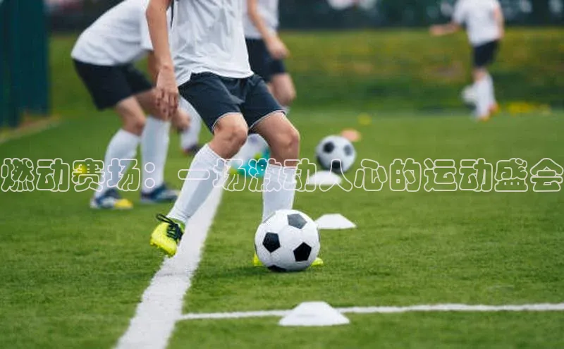 燃动赛场：一场激动人心的运动盛会