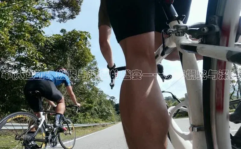 车队运动：极限与速度的盛宴——赛事概览与深度