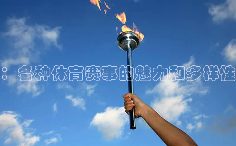 ：各种体育赛事的魅力和多样性