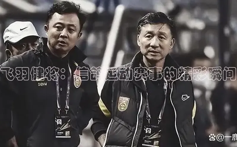 飞羽健将：信鸽运动赛事的精彩瞬间